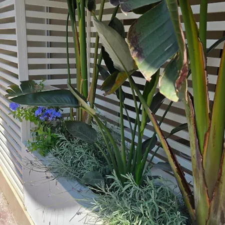 Appartamento Residenza Giulia E Lidia - Perla Dell'adriatico